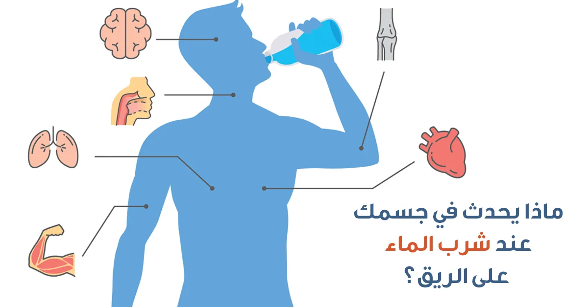 فوائد شرب الماء يومياً وأهميته لصحة الجسم