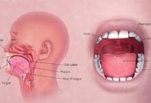 دراسة جديدة تكشف عن دور الميكروبات الفموية في تأخير التدهور المعرفي والخرف